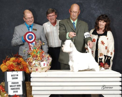 GCh Gailaurie's Zoom ZoomZoom